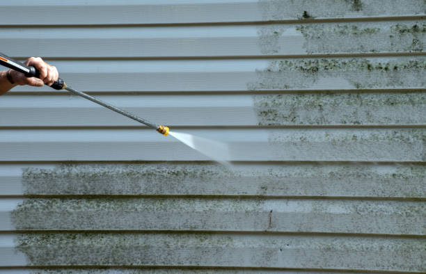 Best Pressure Washing Patio  in Capron, IL