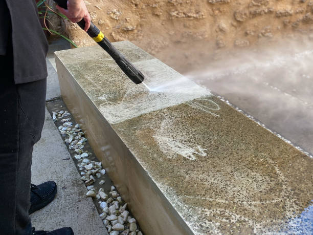 Best Roof Power Washing Services  in Capron, IL