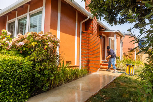 Best Affordable Power Washing  in Capron, IL
